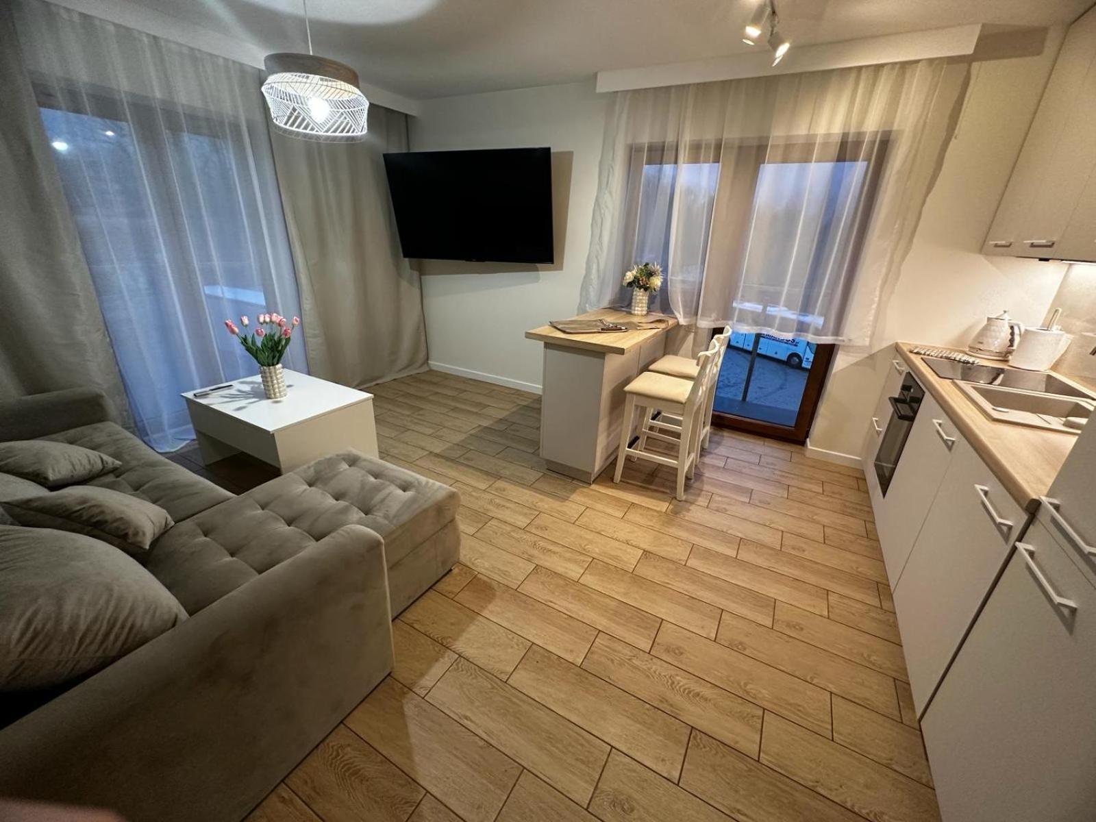 Apartamenty Biala Gran Ζακοπάνε Εξωτερικό φωτογραφία