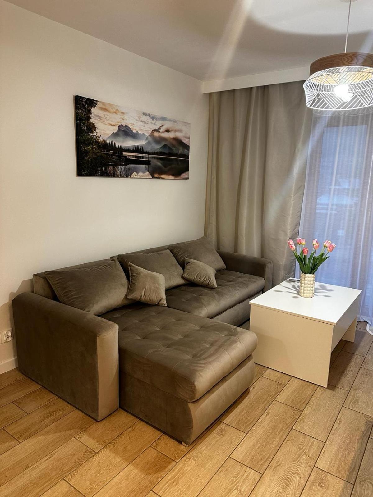 Apartamenty Biala Gran Ζακοπάνε Εξωτερικό φωτογραφία